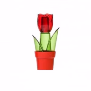 Solnita Tulipa